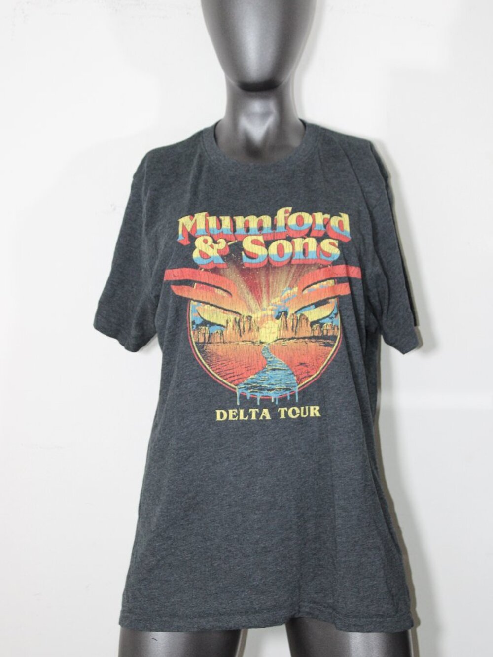 Mumford & Sons Delta Tour concert t-shirt